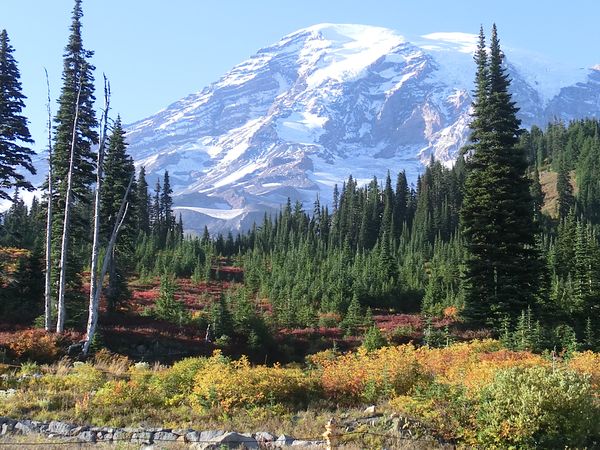 Mount Rainier National Park - Washington State - Doets Reizen